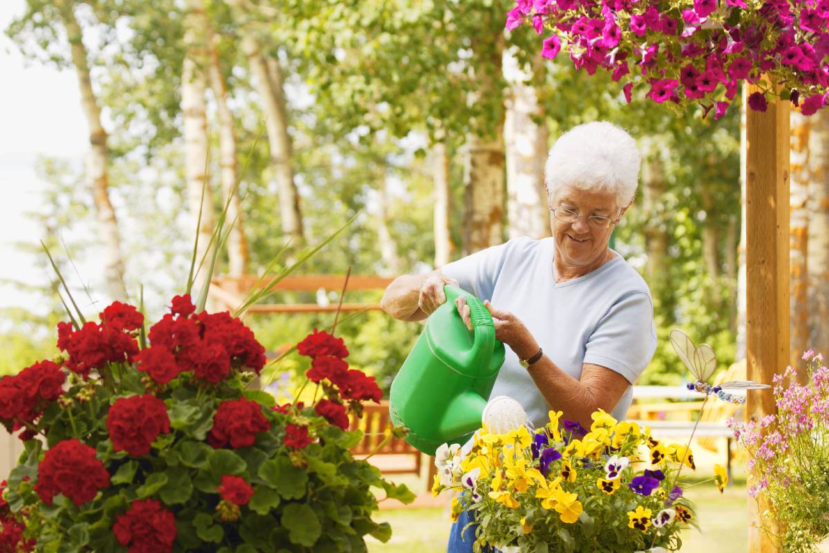 Senior watering flowers in a garden